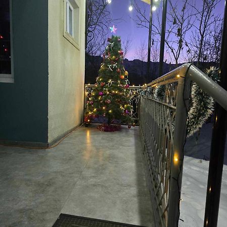 Guest House Vivaushba Bagvdanari 외부 사진