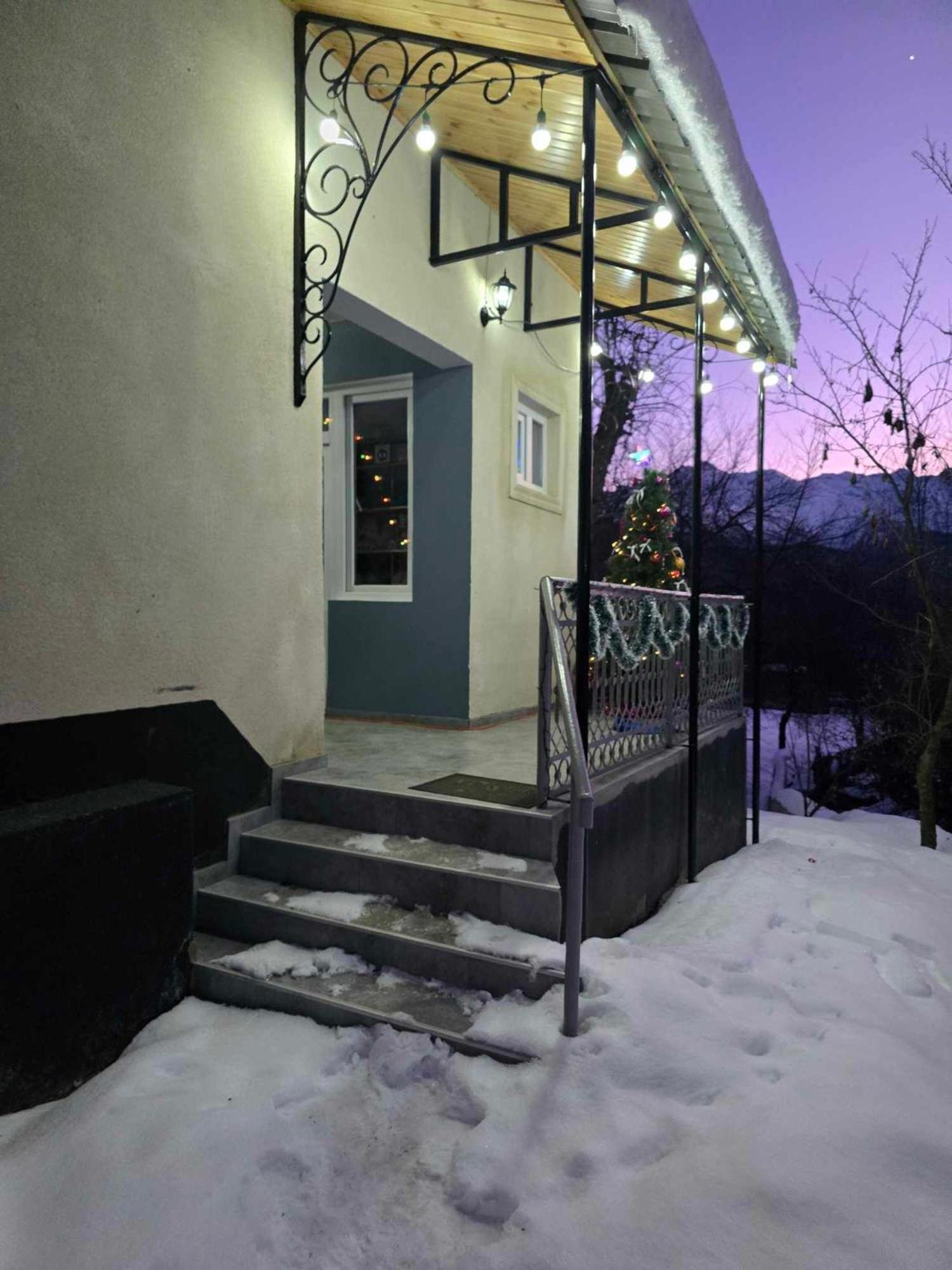 Guest House Vivaushba Bagvdanari 외부 사진