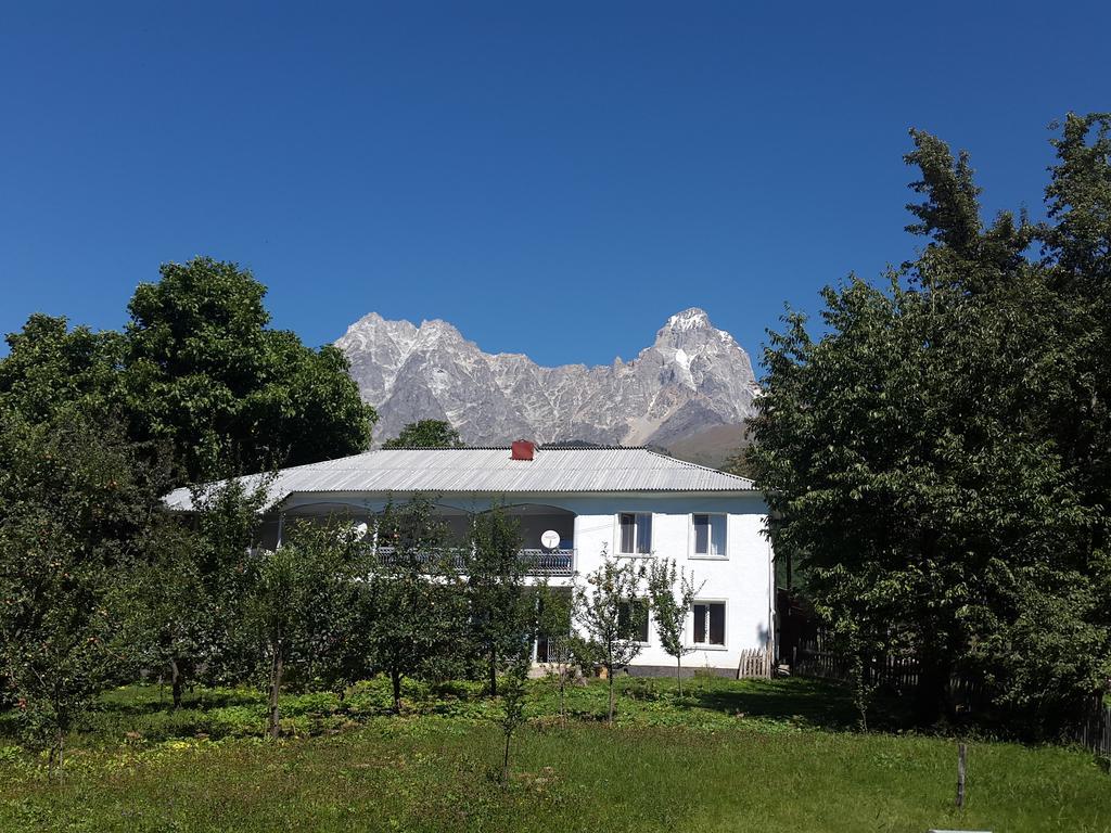 Guest House Vivaushba Bagvdanari 외부 사진