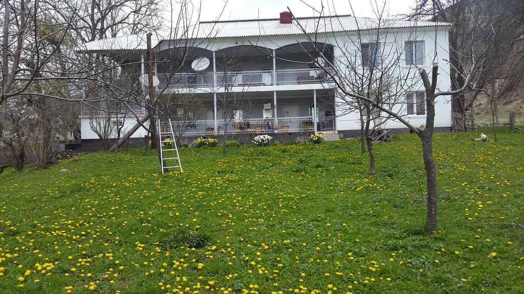 Guest House Vivaushba Bagvdanari 외부 사진