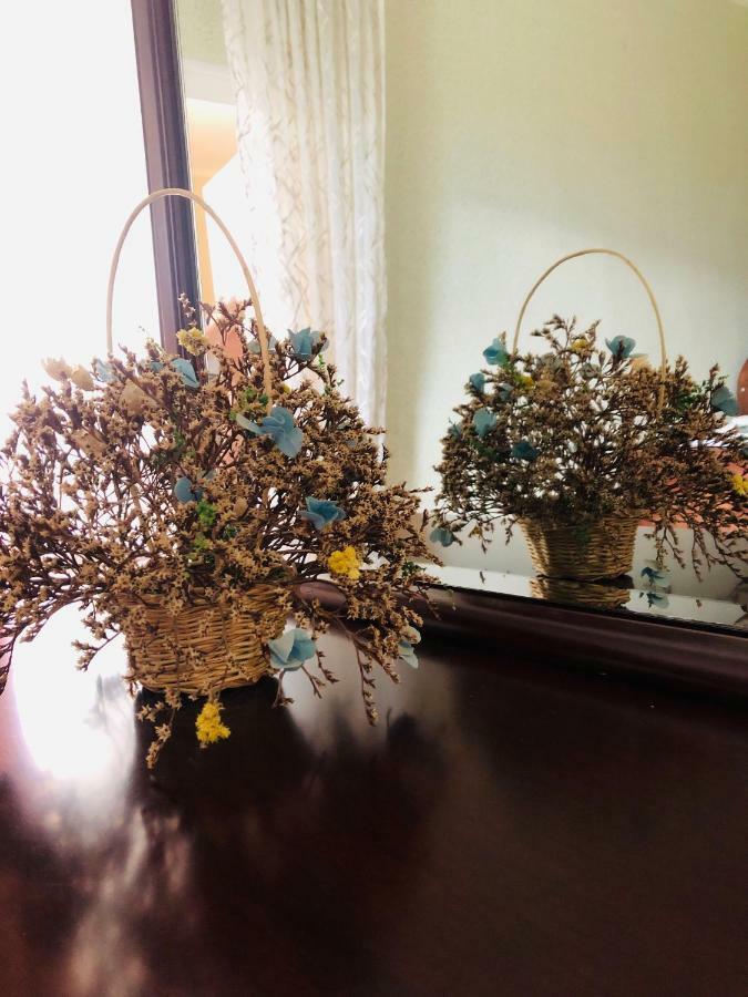 Guest House Vivaushba Bagvdanari 외부 사진