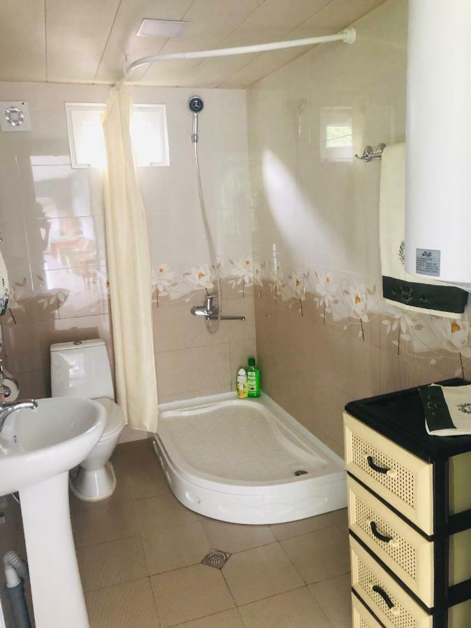 Guest House Vivaushba Bagvdanari 외부 사진