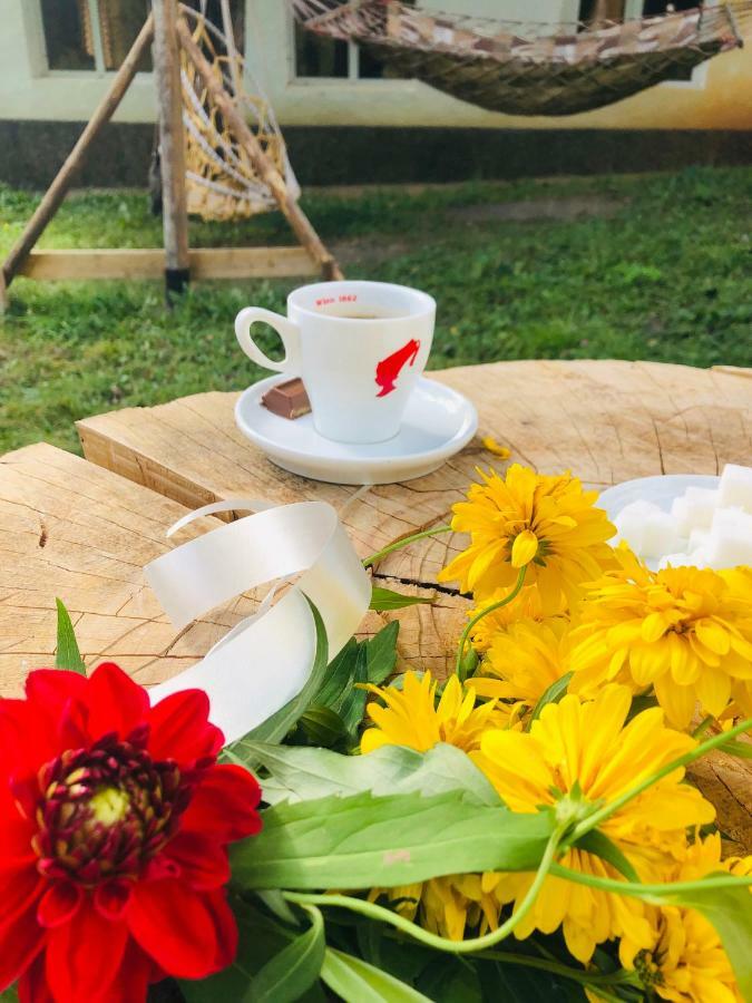 Guest House Vivaushba Bagvdanari 외부 사진
