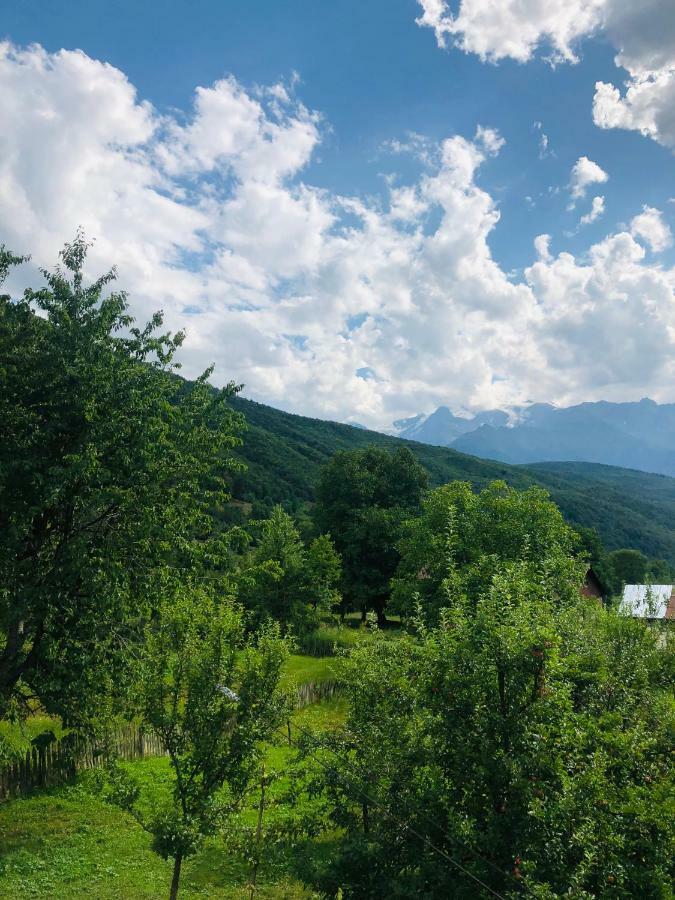 Guest House Vivaushba Bagvdanari 외부 사진