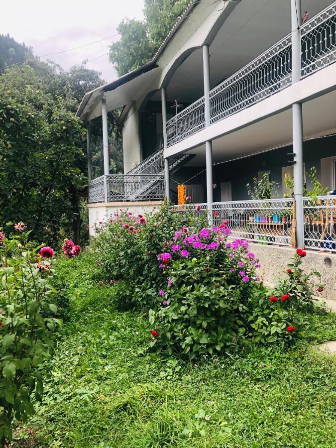 Guest House Vivaushba Bagvdanari 외부 사진
